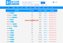 暴风资源网-X站长