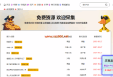 鸭鸭资源网-X站长